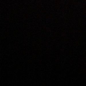 Meet your Posher, Alana